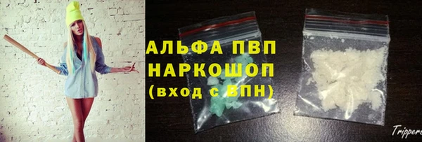 СК Алзамай