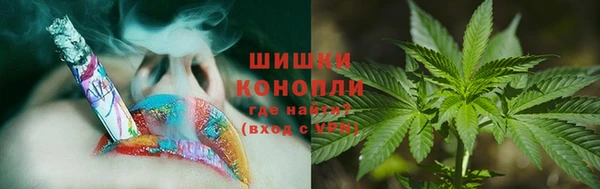 СК Алзамай