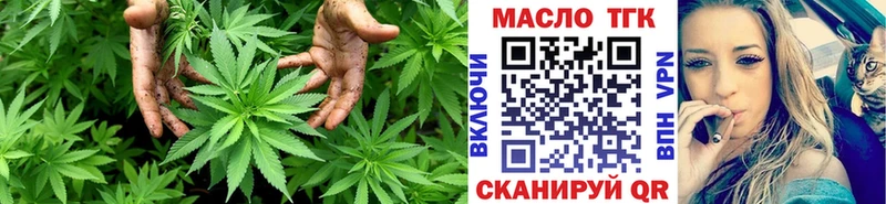где купить наркотик ОМГ ОМГ маркетплейс Дистиллят ТГК гашишное масло Алексеевка