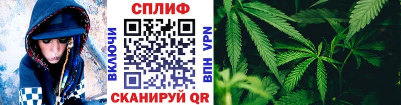 где купить наркоту  Алексеевка  Марихуана гибрид 